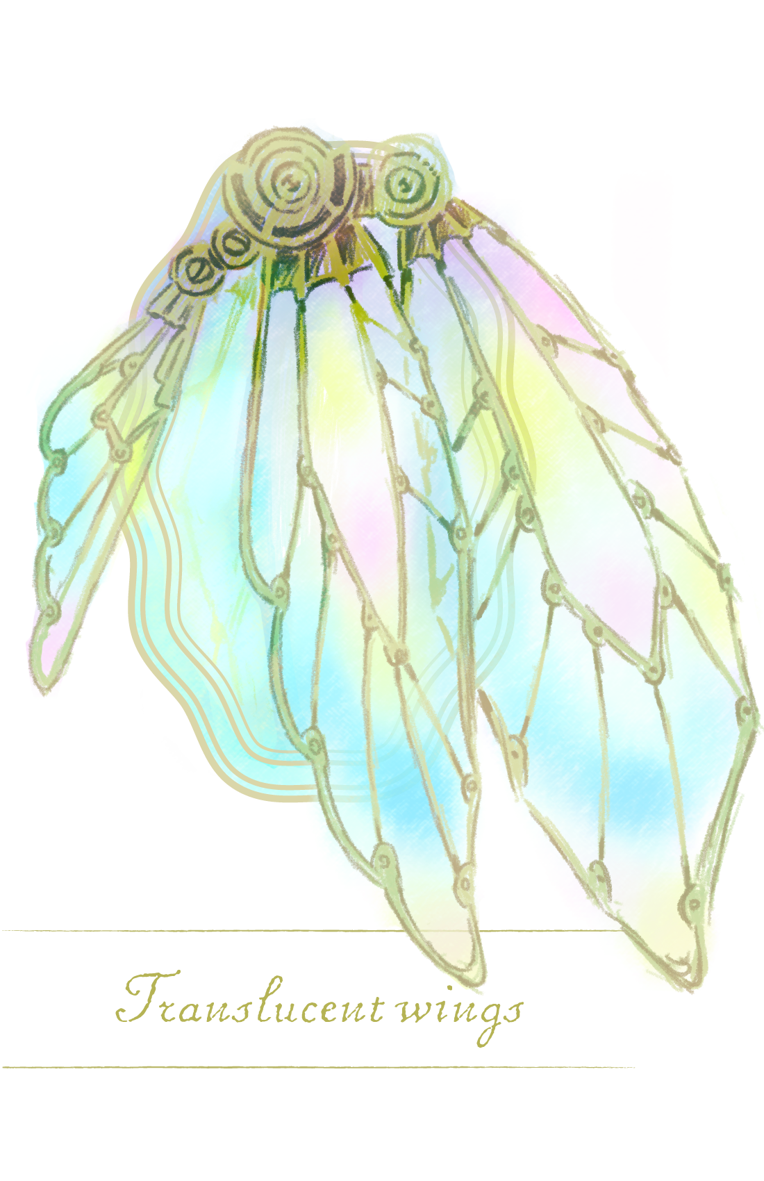 透き通った翅